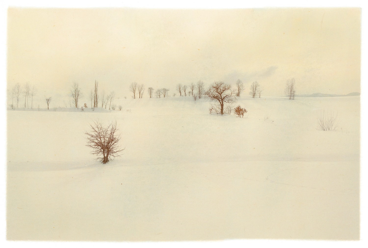 Biei, Hokkaido, 37.9x28.8cm, giclee print on handmade paper, 2013, 2of5