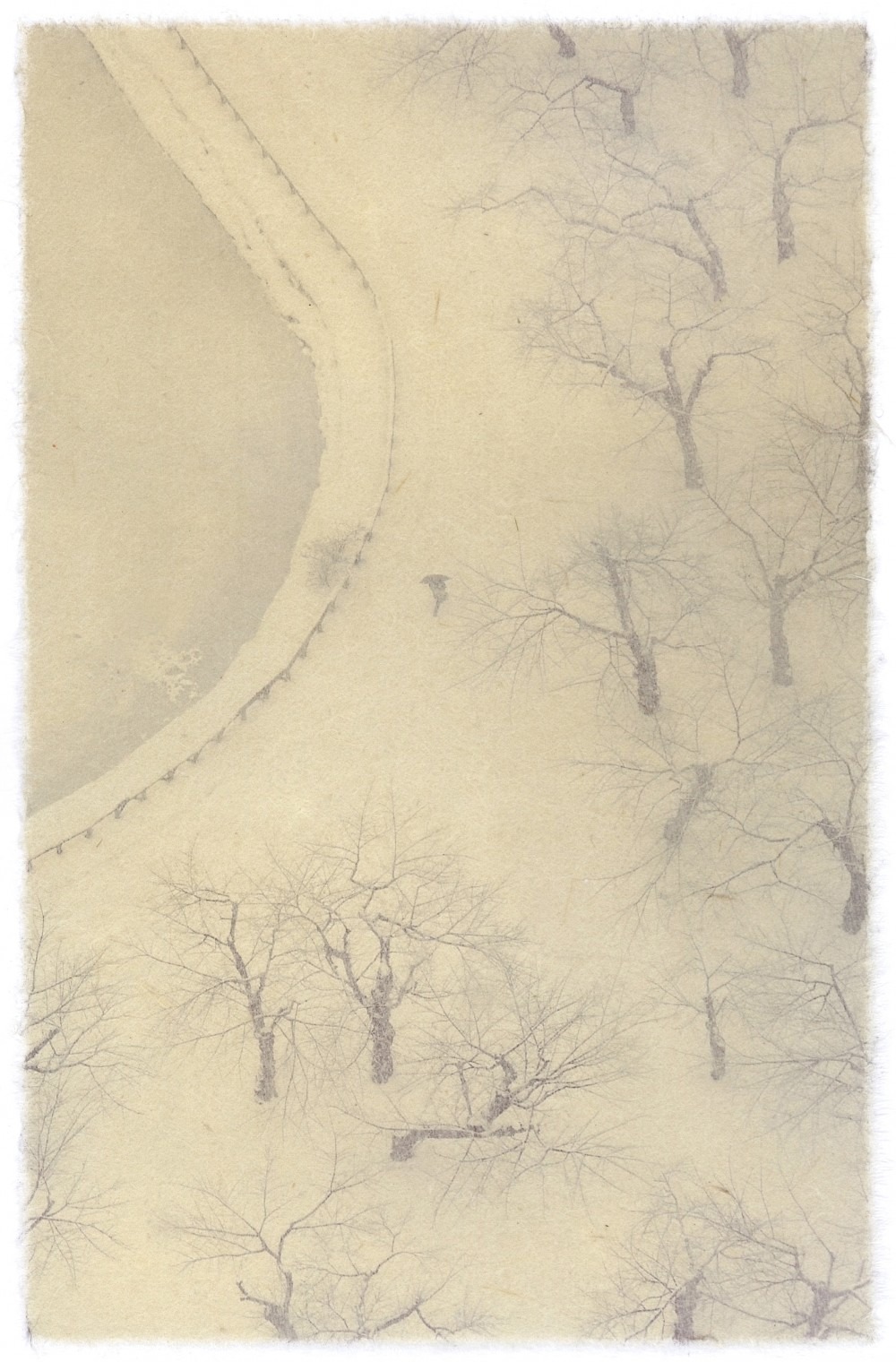 Hakodate, Hokkaido, 28.8x37.9cm, giclee print on handmade paper, 2009, 4of5