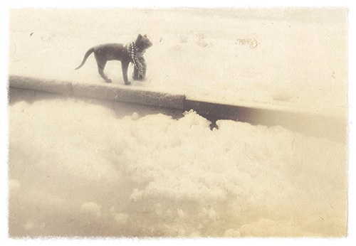 Hakodate, Hokkaido, Japan, 28x19.cm, giclee print on handmade paper, 2009, 1of5