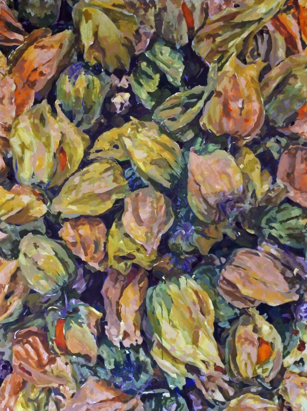 Physalis II_160x120cm_린넨천에 유채_2015