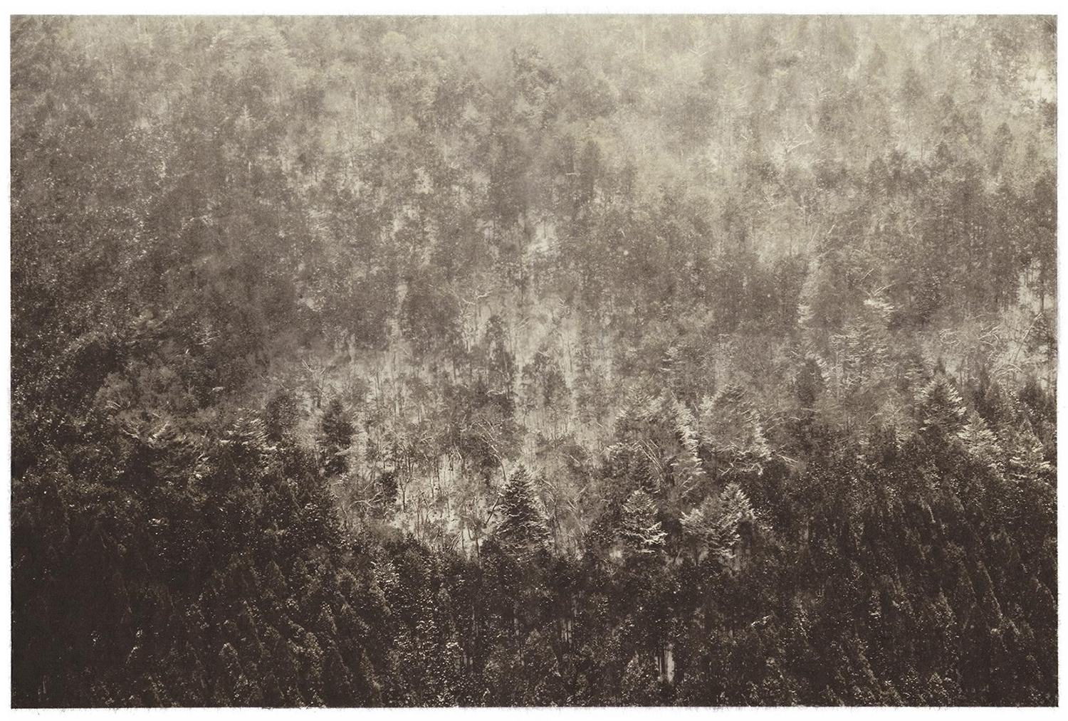 Season Lao, Kyoto, Japan, 61x50.8cm, giclee print on handmade paper, 2018, 5edition, 35000HKD