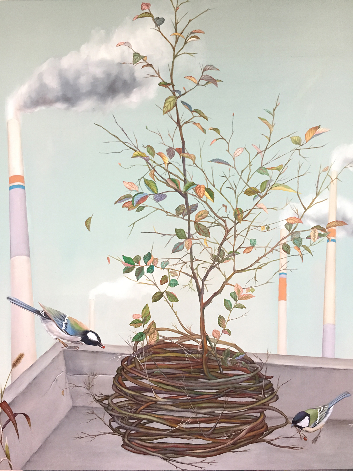 Oh Young, a reviving plant, 73x61cm, oil on canvas, 2018