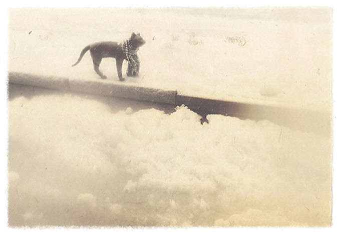 Hakodate, Hokkaido, Japan, 28x19.cm, giclee print on handmade paper, 2009, 1of5