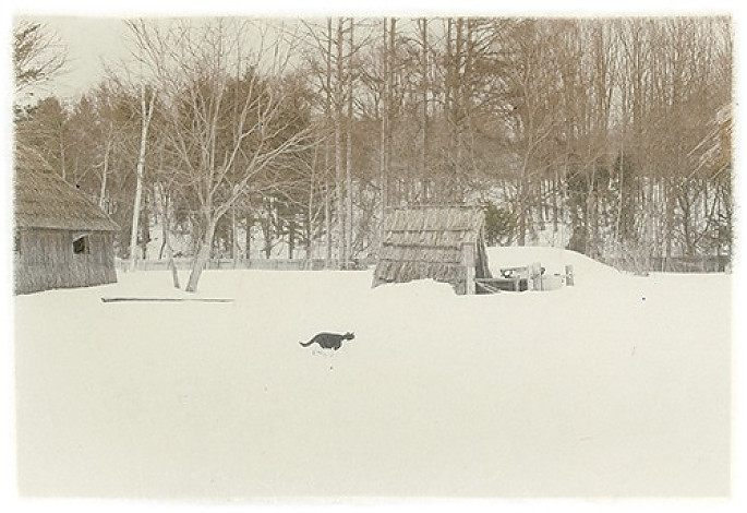 Nitbutari, Hokkaido, Japan, 37.9x28.8cm, giclee print on handmade paper, 2013, 2of5