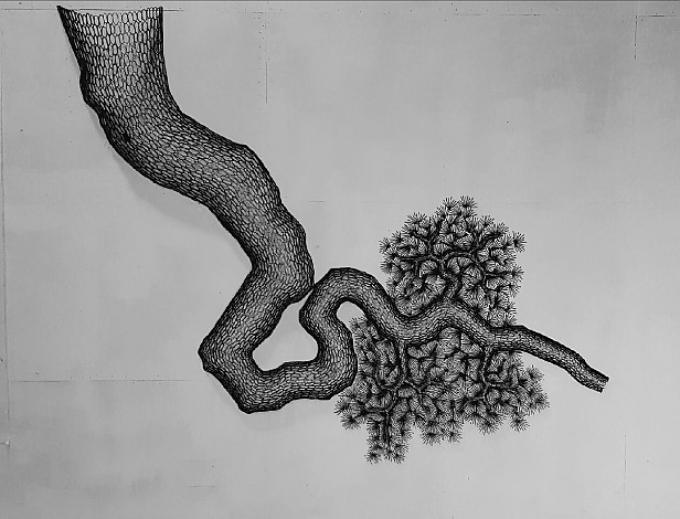 Lee Gilrae, Old PIne Tree, Copper Welding, 280x13(h)x225cm, 2017