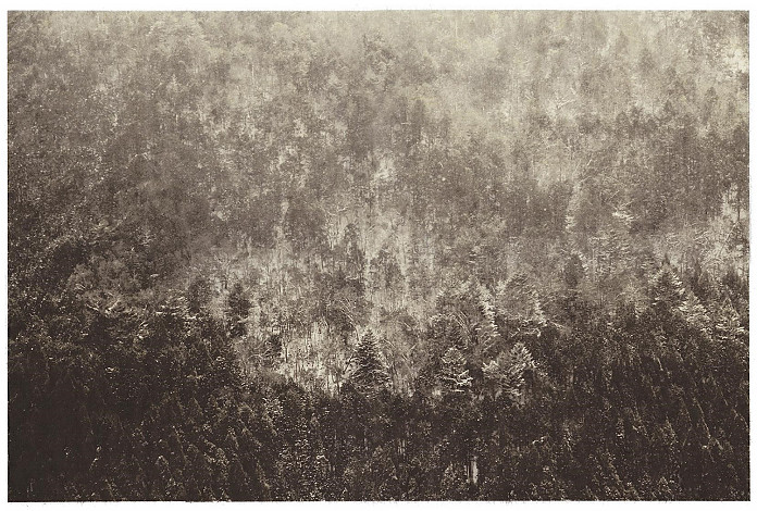 Season Lao, Kyoto, Japan, 61x50.8cm, giclee print on handmade paper, 2018, 5edition, 35000HKD